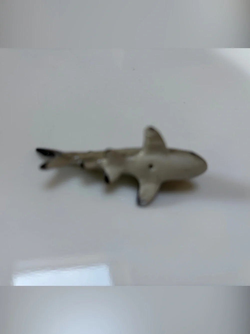 Small Aquarium Shark Ornament - Gray
